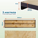 Настил вышки-туры Промышленник ВСП-250/1,2 фото 3