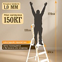 Стремянка Alumet  AM 703 фото 2