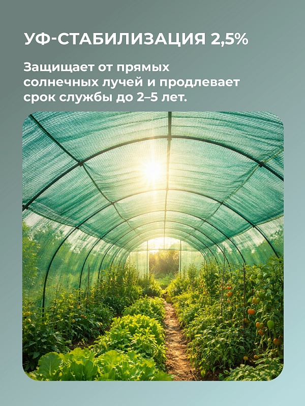 /upload/resize_cache/iblock/bbc/800_800_0/sz6jd1c6k8radh9gj1qdrsce5g87vp0f.jpg